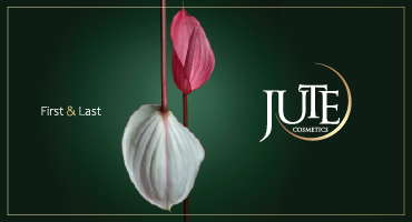 Catalog Banner 1 2